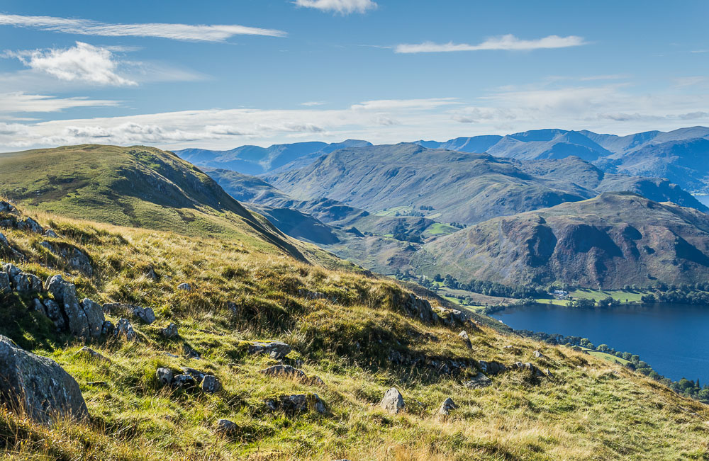 Bonscale Pike